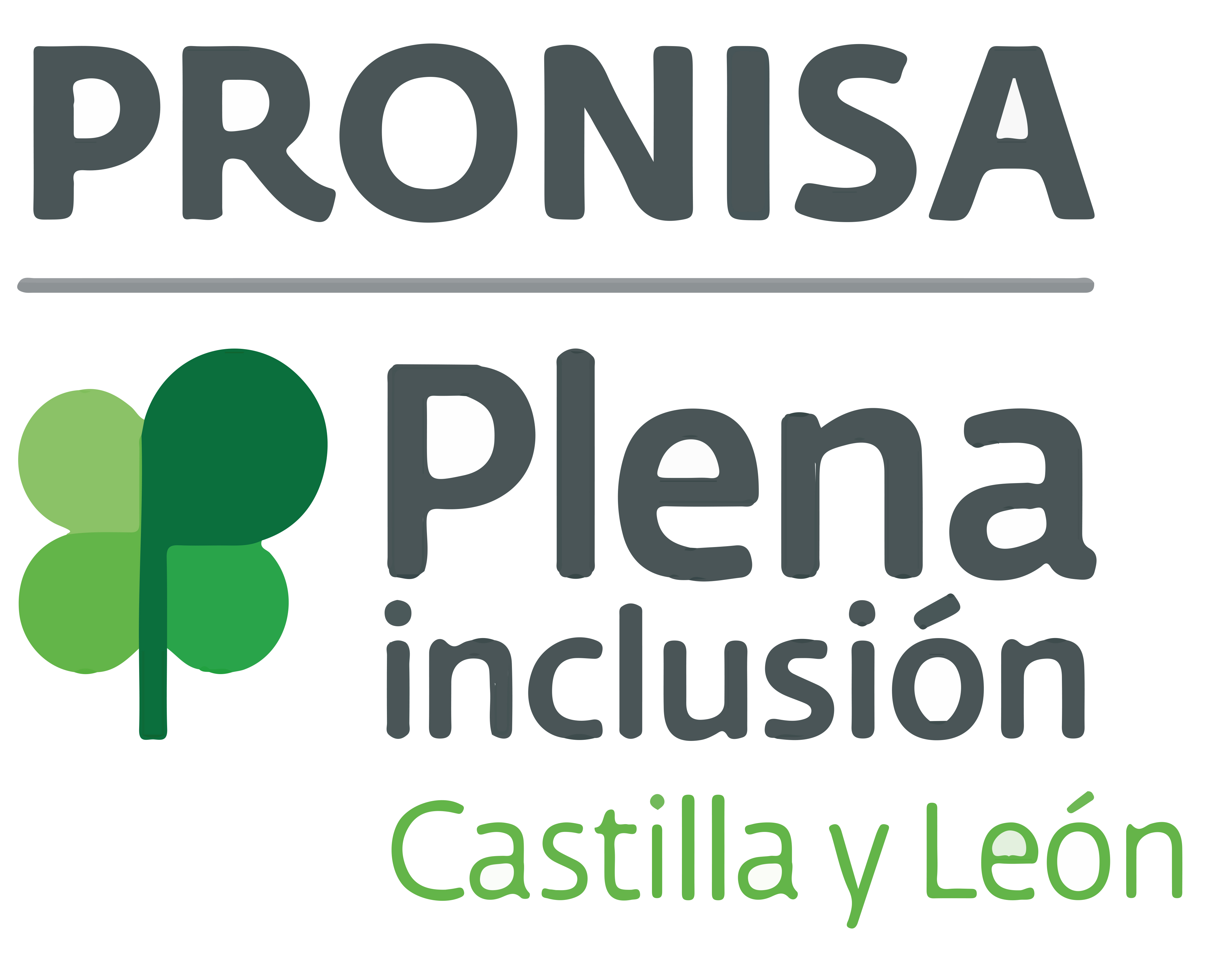 PRONISA Plena Inclusión Ávila