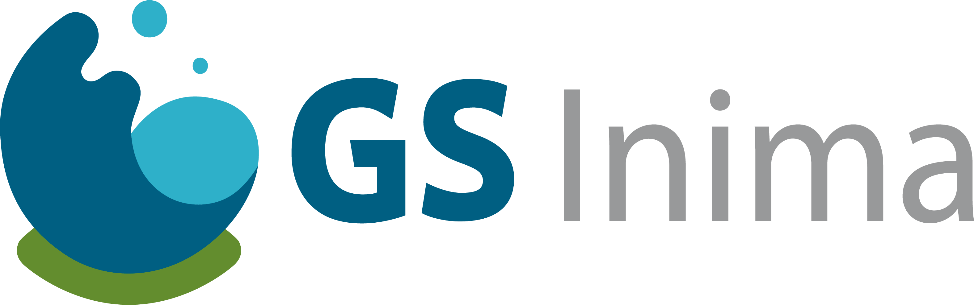 GS Inima Environment